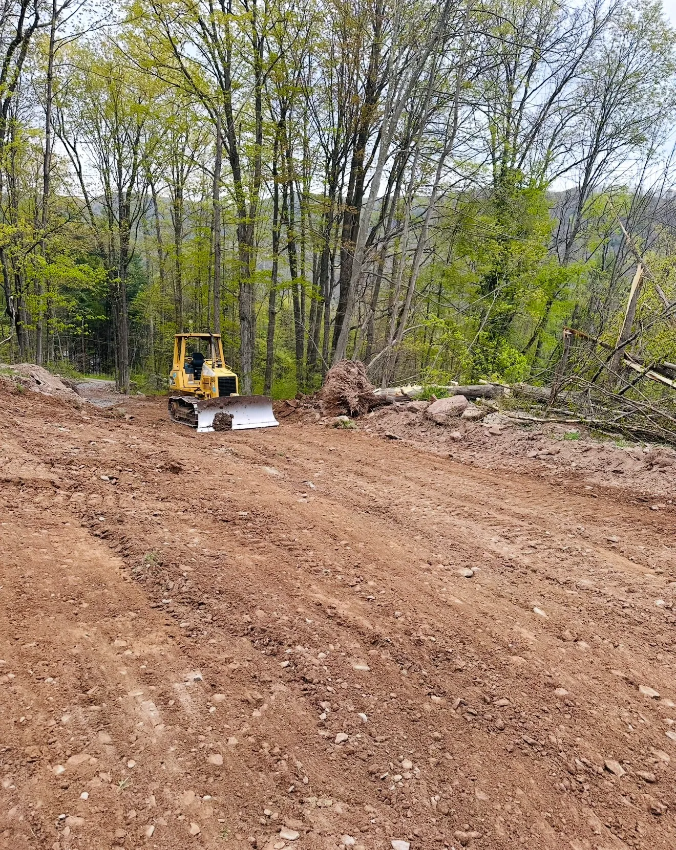 Excavator clearing a residential lot for new construction in rural Tioga County, PA