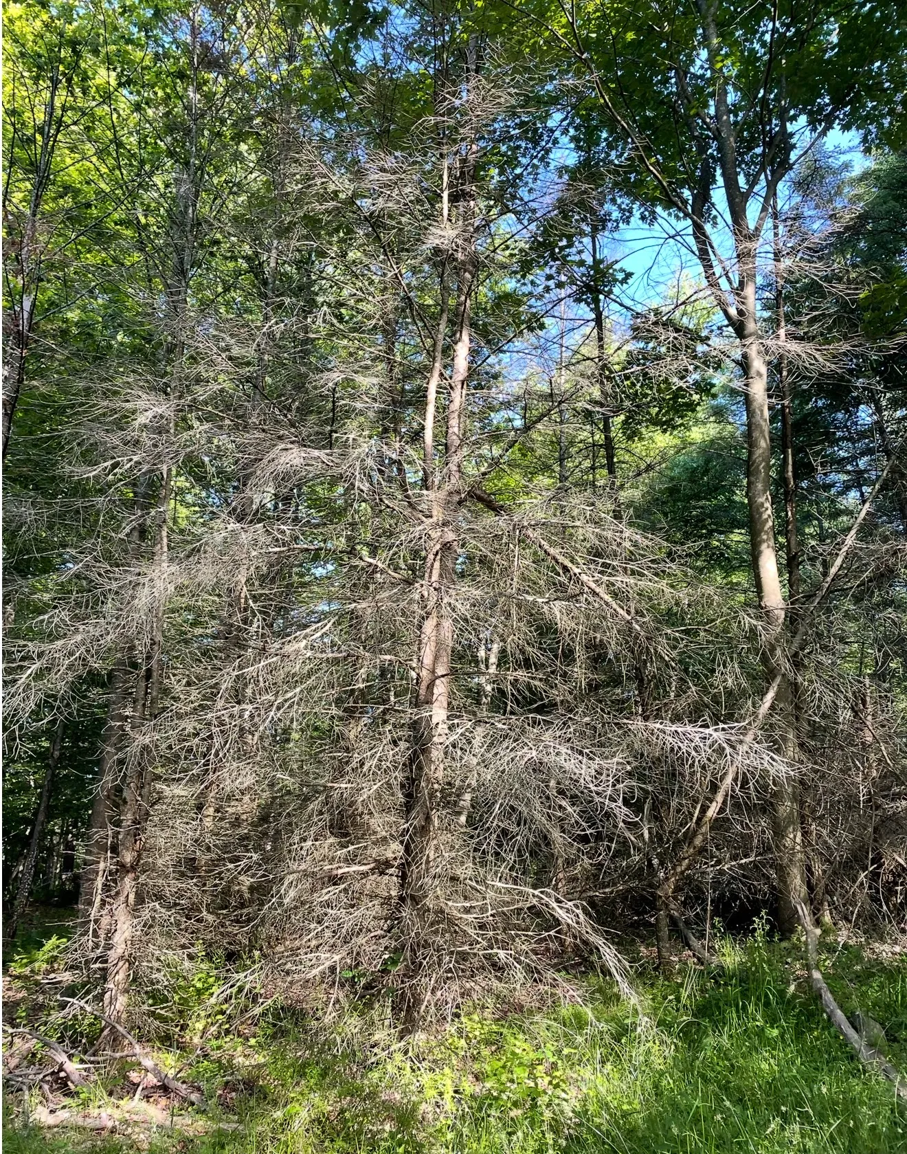 Experienced excavator operator managing complex grading on uneven rural land in Galeton, PA